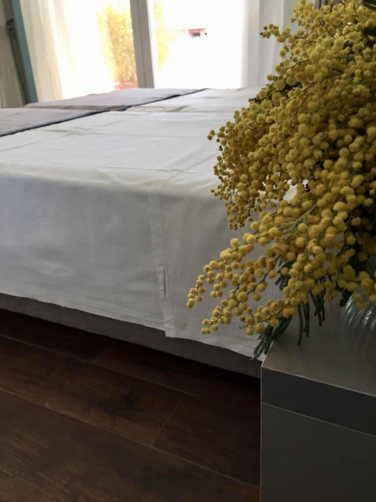 Amberyellowbnb Shkodër Eksteriør bilde